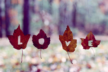 WALLPAPER 10 {Love}