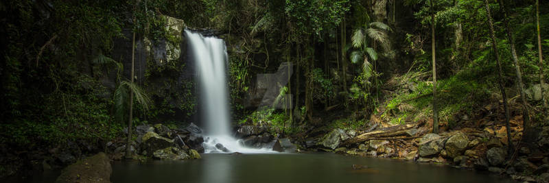 Curtis Falls, Mount Tamborine