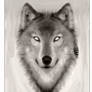 Spirit Wolf