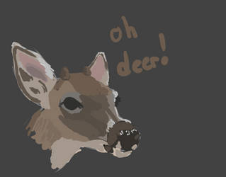 oh deer!