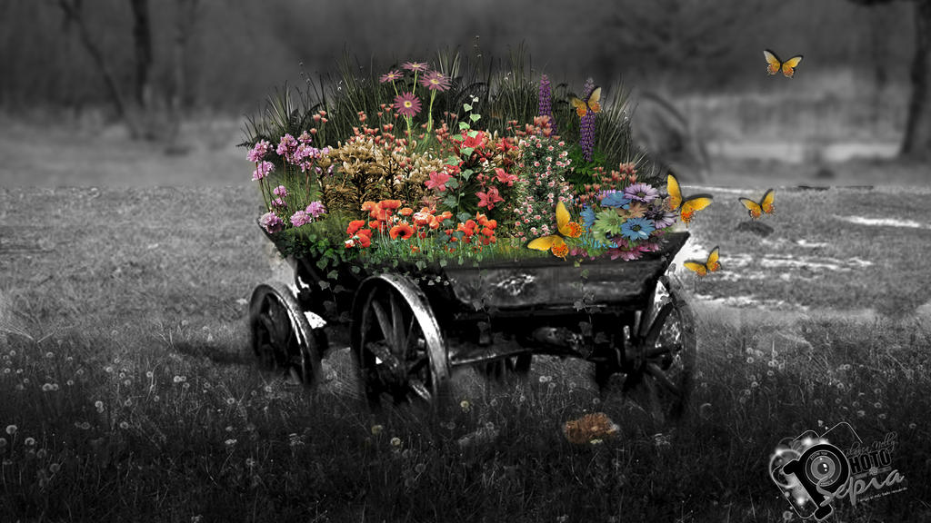 Carreta con flores by NUBES112