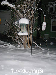 Snowy Bird Feeder