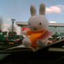 Miffy Navigates the M5