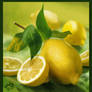 Lemons - Speedpaint
