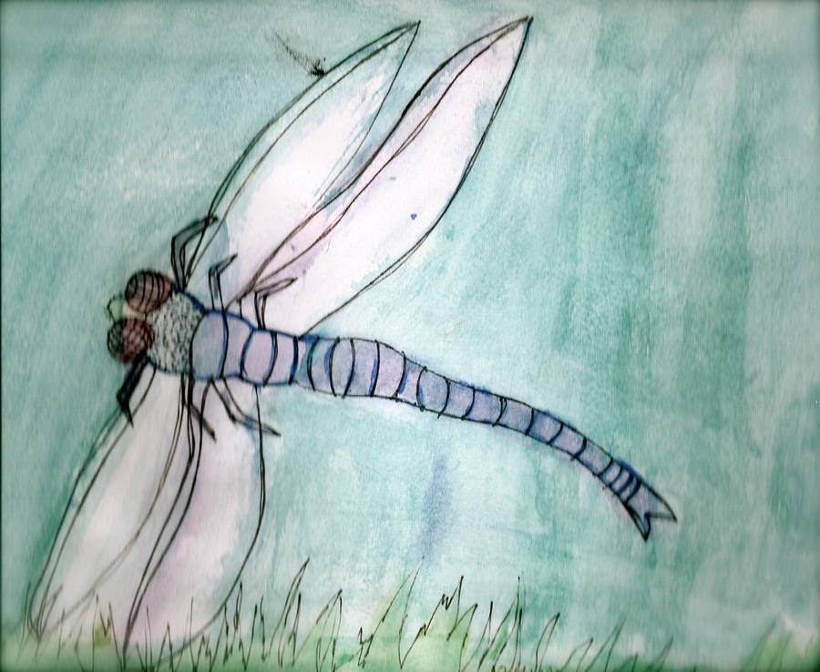 dragonfly 2001 by Monalisawack on DeviantArt