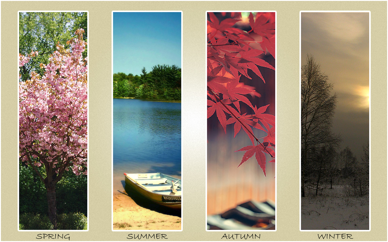 4 Seasons