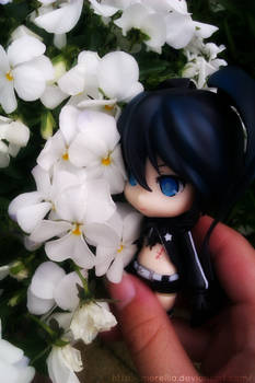 Black Rock Shooter with the flowers.