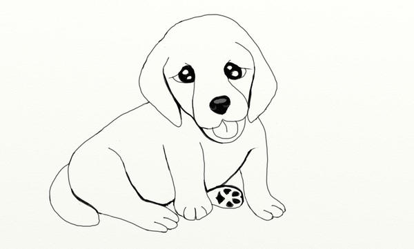 Golden Retriever Puppy by DungeonWarden on DeviantArt