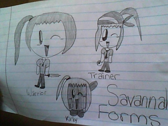 Savannah's Forms