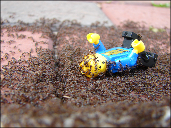 LegoLand Genocide by kuda14