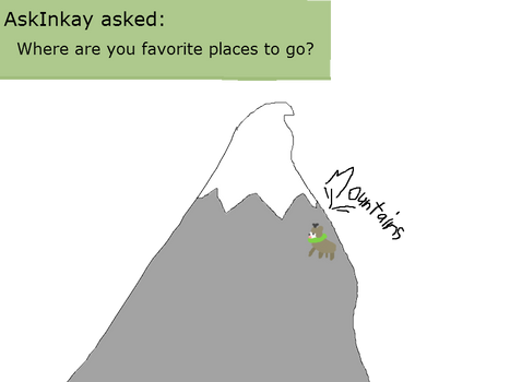 Ask Skiddo question 1