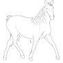 Horse Lineart 4