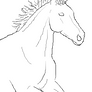 Horse Lineart 8
