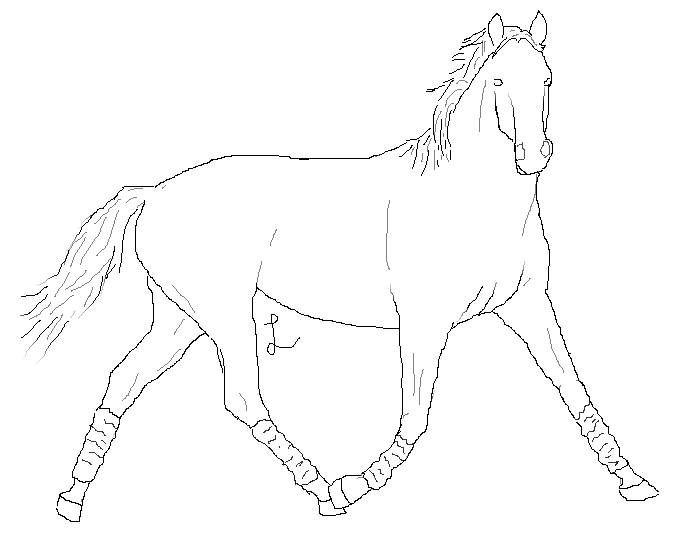 Horse Lineart 9