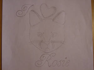 My cat Rosie...