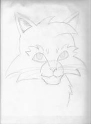 Graystripe