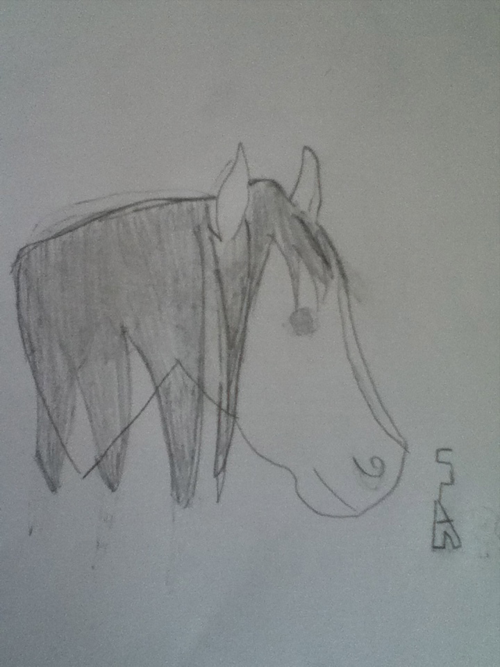Horse Head Drawing by Crazy-Animal-Girl13 on DeviantArt Horse Head Drawing by Crazy-Animal-Girl13 on DeviantArt
