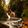 Lake Your Horse Here - CLOSED