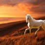 Sunset Stroll