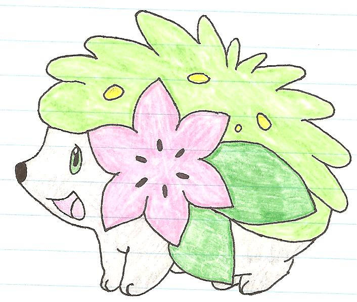 Cute Shaymin by Pokemon-Eevee on DeviantArt