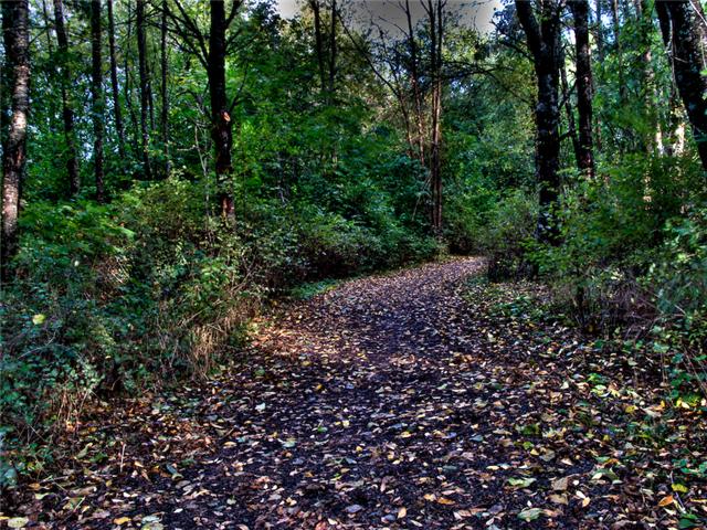 Spring Water Trail-Gresham, OR