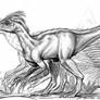 Ornitholestes-hermanni-A