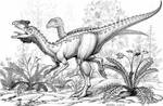 Zupaysaurus-rougieri-A