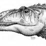 AllosaurusAMNH666-A