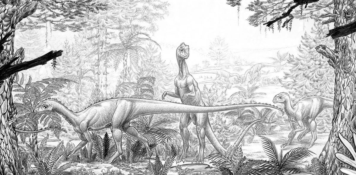 Thecodontosaurus-caducus-A by aspidel on DeviantArt
