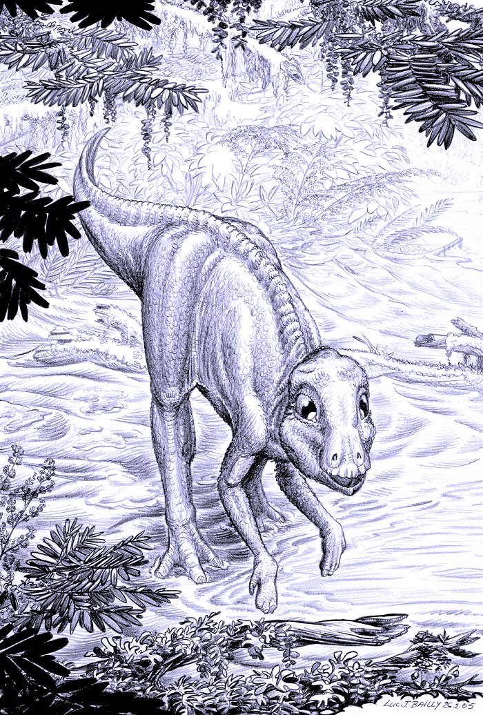 Maiasaura-peeblesorum-chick-A