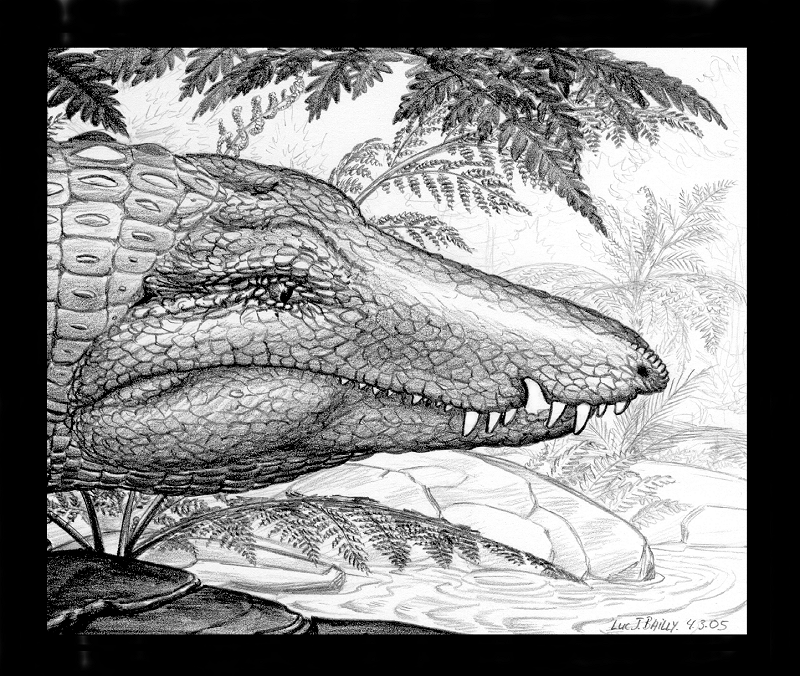 Uberabasuchus-terrificus-A