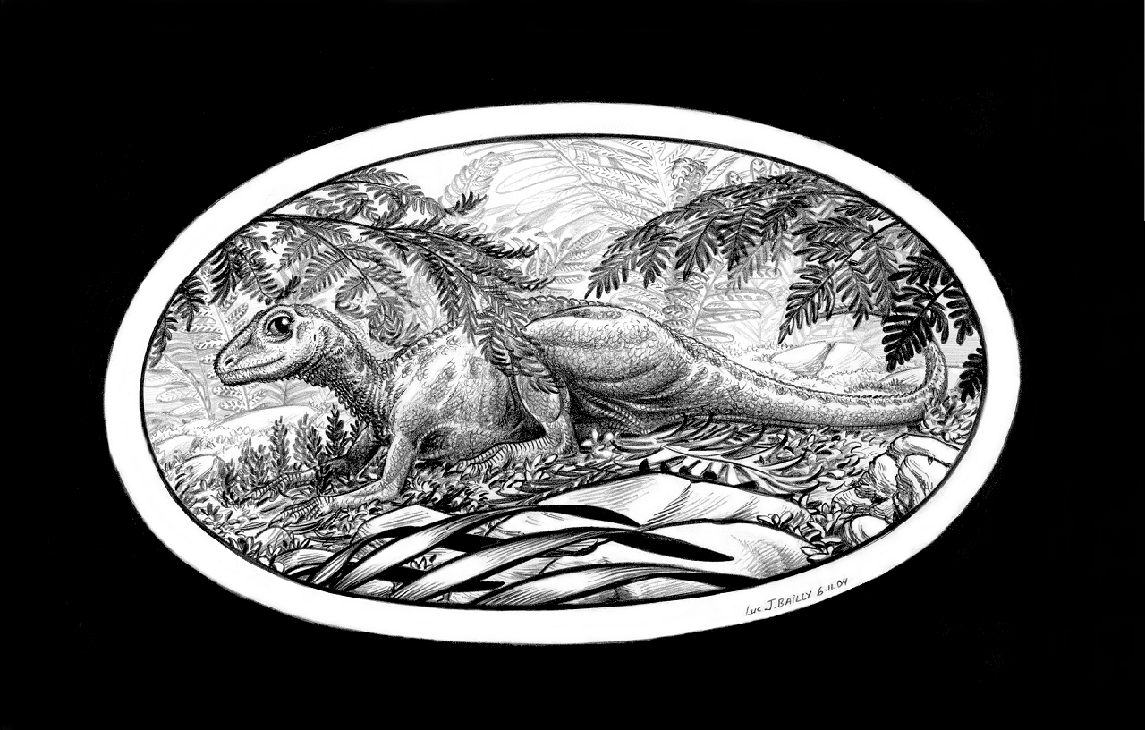 Mussaurus-patagonicus-A