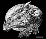 Dracorex-hogwartsia-A by aspidel