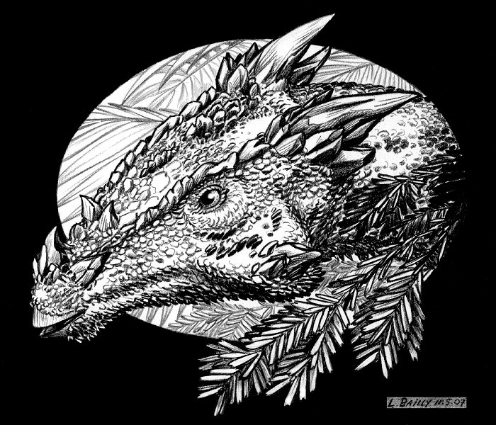 Dracorex-hogwartsia-A