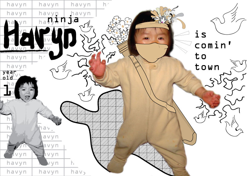 Ninja Havyn