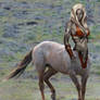 Elvish stock Centaur