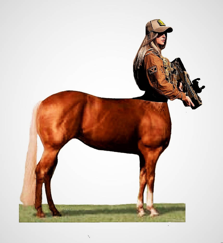 Centaur Ranger-Specialist-Tec by mplumb on DeviantArt