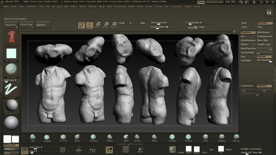 Male Torso Cast