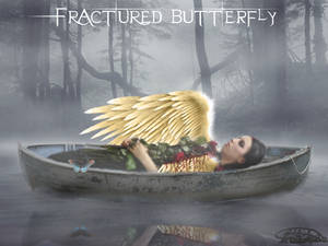 Fractured Butterfly