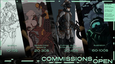 Commission Sheet (DM if anything)