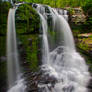 Fulmer Falls - Abyss