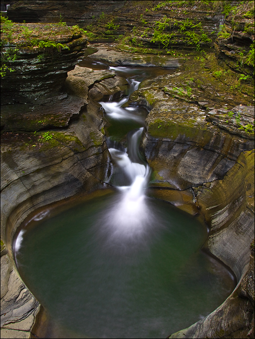 WG - Nature's Whirl Pool