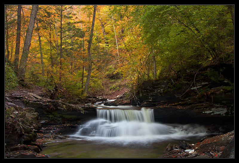 Happy Fall In Ricketts Glen