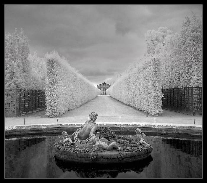 Versailles Dreams