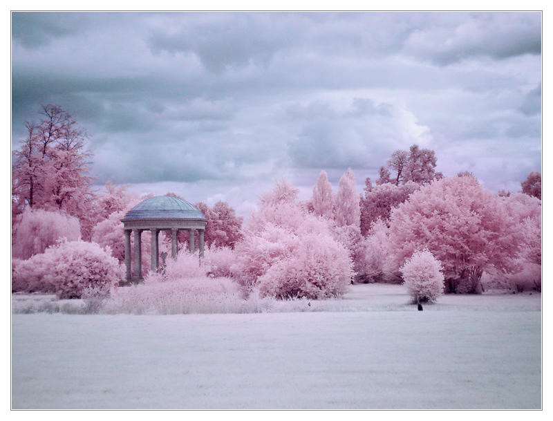 The Dream Gazebo