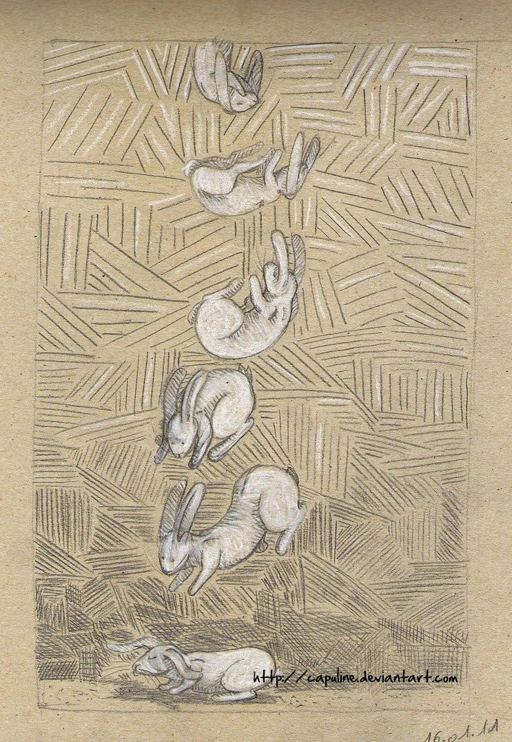 Falling bunny by Capuline on DeviantArt