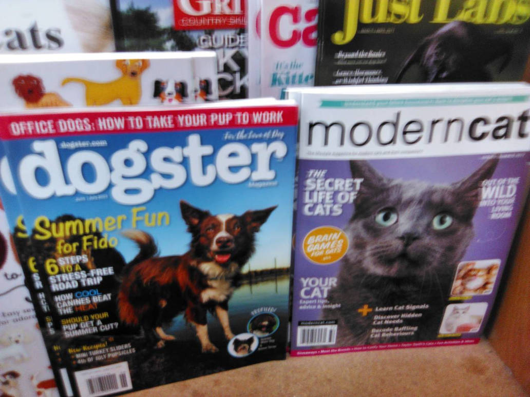Random Animal Magazine Various animal magazines at Books a million. by Aguwolfgirl12 on DeviantArt