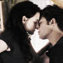 Twilight saga wallpaper 2