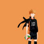 Haikyuu - Shoyo Hinata