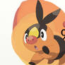 9 : Tepig